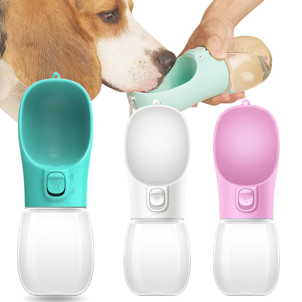 Pet water bottle