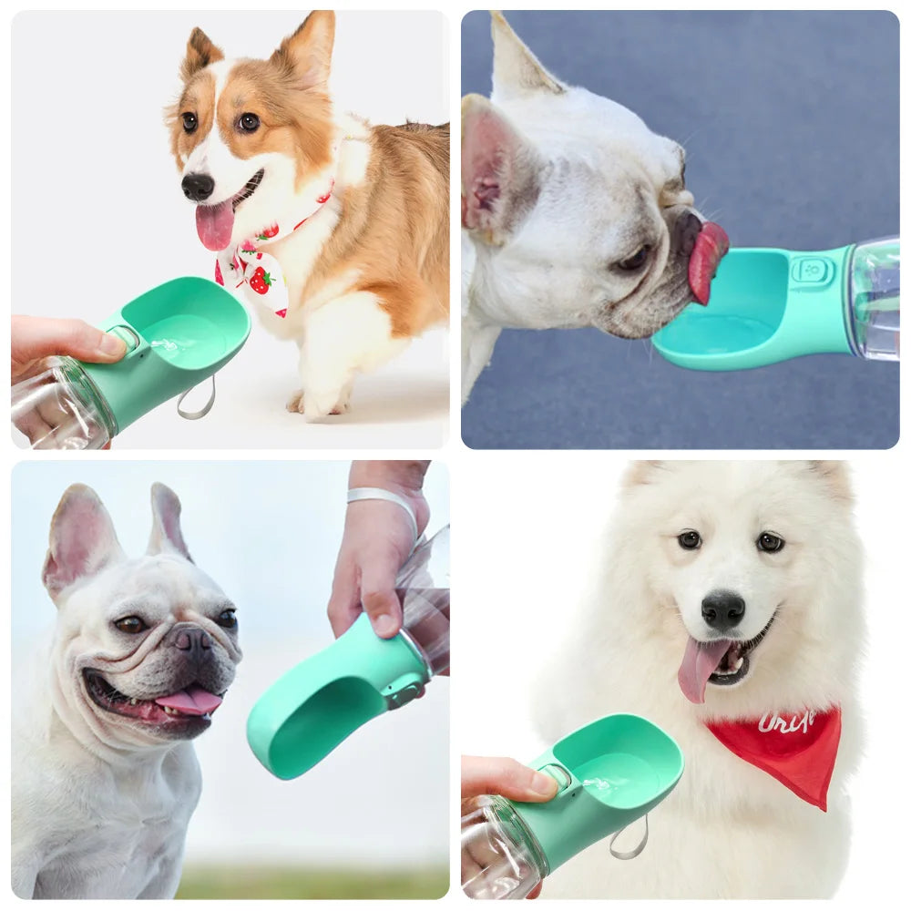 Pet water bottle