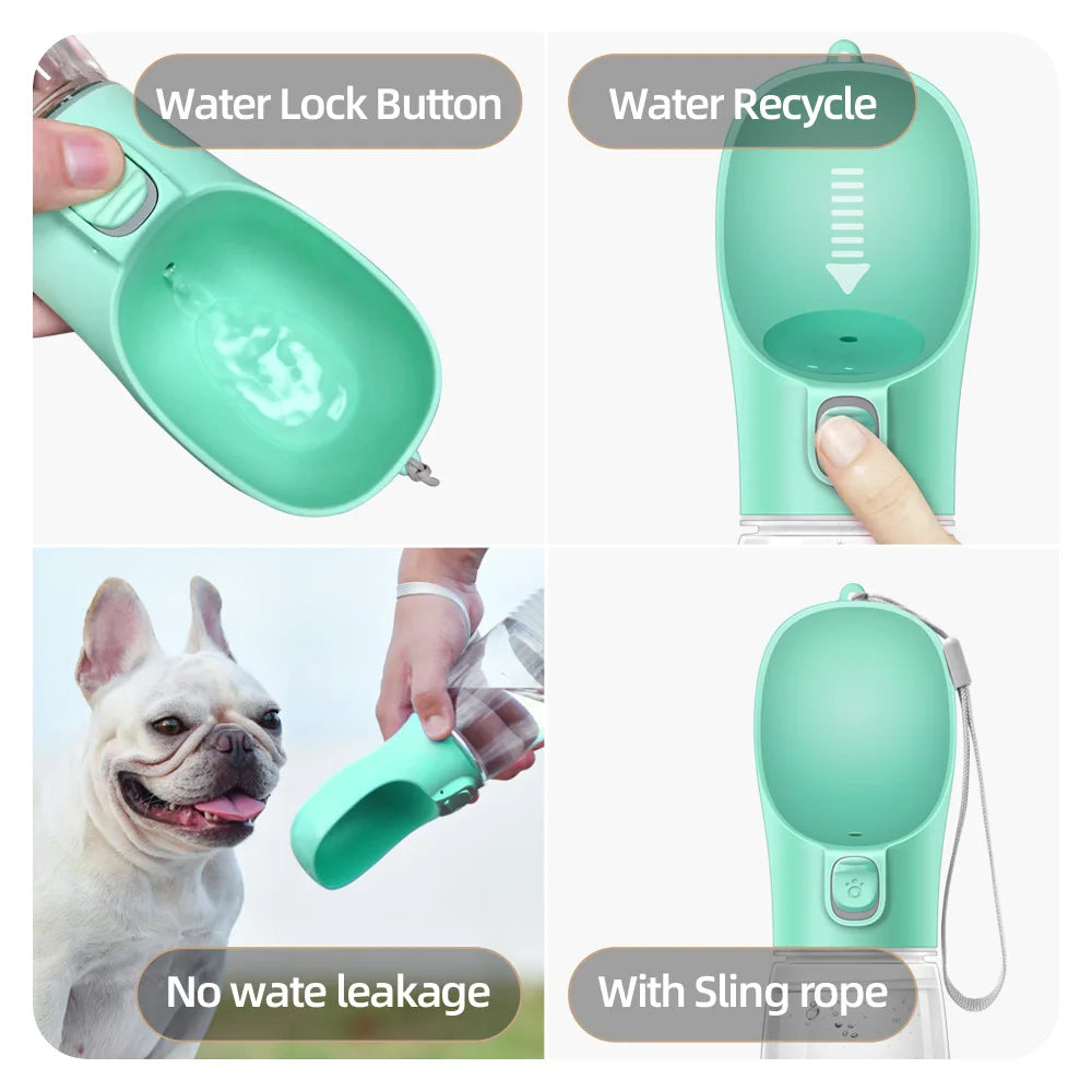 Pet water bottle